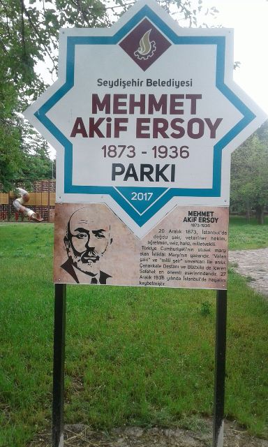 xzcvxv.jpg