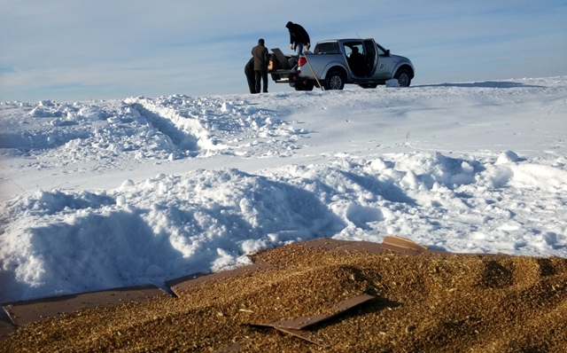 yaban-hayvanlarina-yem-icin-seferber-oldular--4.jpg yaban-hayvanlarina-yem-icin-seferber-oldular--4.jpg