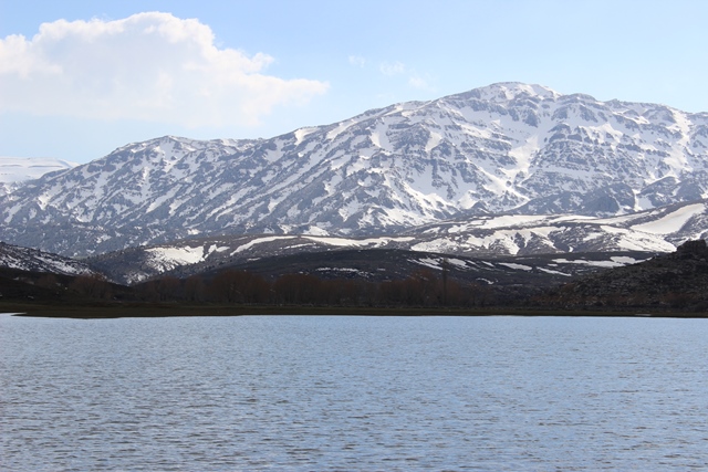 yaylalar-(3).jpg