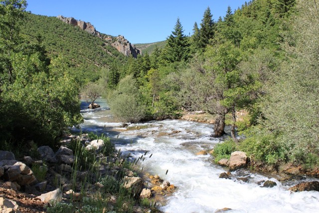 zeki-oguz-(1).20120618092019.jpg zeki-oguz-(1).20120618092019.jpg