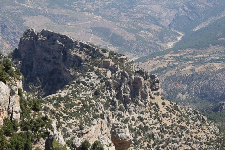 zeki-oguz-(3).jpg
