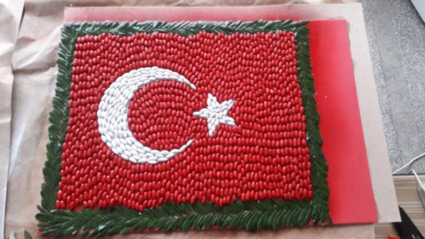 zeytin-cekirdeklerinden-turk-bayragi--(1).jpg